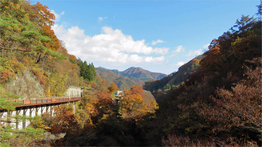 紅葉に染まる吾妻峡