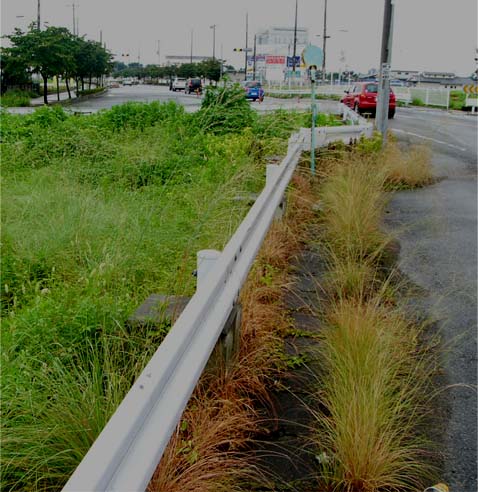 一般国道462号 本関町区間拡幅工事一般国道462号 本関町区間拡幅工事遺跡調査